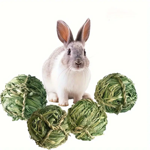 Çiğneme örgülü topu oyuncaklar kobay tavşan Hamster küçük hayvan oyna interaktif çiğnemek oyuncak doğal çim topu eğlenceli küçük Pet oyuncak - Product Image 5