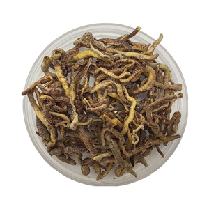 อาหารปลาแบบแห้ง ผลิตจากไส้เดือนดิน แช่แข็งและอบแห้ง ให้สารอาหารและโปรตีนสูง - Product Image 1