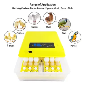 Alta qualidade 48 egg incubator com CE uso automático incubadora de ovos de galinha para incubação na Etiópia