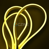 110LED LED Flexible Silicone Neon Strip Lights Avec Accessoires Complets IP67 LED Profil pour Multi-Design