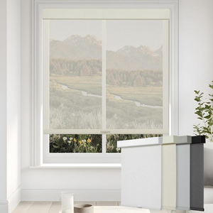 Factory Supply Popular Built-In Plain Light Filtering Durable Fabric Manual Roller <strong>Blinds</strong> with 100% Blackout <strong>for</strong> <strong>Windows</strong> - Product Image 1