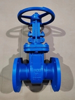 Válvula de Compuerta de Servicio Pesado Estándar GOST 30s41nzh Z41H-16C PN16 con Brida Manual de Acero Inoxidable con Sello YAOSHENG para Suministro de Agua