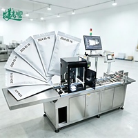 Machine de marquage laser UV automatisée, système d'inspection par vision pour sacs en plastique ultra-minces de 0,03 mm avec alimentation anti-surplongement et codage