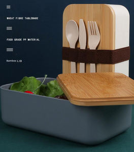 Boîte à lunch Bento en bambou écologique avec ustensiles biodégradables | Récipient alimentaire de pique-nique en PP de qualité alimentaire | Idéal pour les cadeaux - Product Image 2