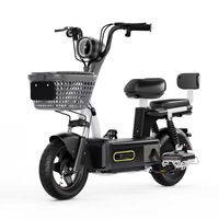 Bicicleta Eléctrica de Doble Asiento de Acero de Alto Carbono, 48V 350W 14 Pulgadas, Precio Económico, Largo Alcance, para Desplazamientos Familiares, Venta Directa de Fábrica