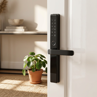 Serrure de porte intelligente en alliage d'aluminium en gros pour portes en aluminium, acier et laiton – Application TTLock, entrée sans clé biométrique, sécurité cloud