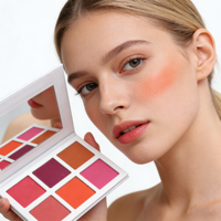 Palette de fard à joues DIY très vendue, longue tenue, haute pigmentation, maquillage visage et joues, 6 couleurs, poudre de haute qualité, waterproof, stick quotidien