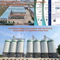 Silo à grains en acier galvanisé inoxydable de 800 tonnes avec cônes de trémie, fabriqué en Chine