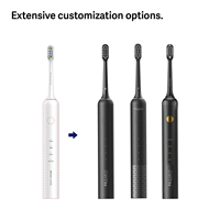 Brosse à dents électrique rechargeable légère à charge rapide USB-C, longue autonomie, idéale pour les voyages, coffret cadeau, en promotion