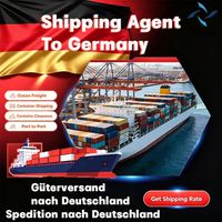 Agente de envío Alemania Puerto de carga marítima de Hamburgo Fba Freight Forwarder Servicios de almacén Servicios de envío