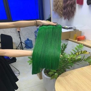 ผมสีเขียวผมมนุษย์แท้แบบไม่ผ่านกระบวนการผม Wigs100 - Product Image 1