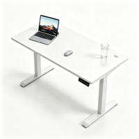 Bureau debout électrique à double moteur réglable en hauteur, ergonomique, pour ordinateur, poste de travail ergonomique pour le bureau