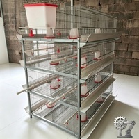 Cage de couvaison pour poussins de type H, design vertical peu encombrant, 1 ensemble de système d'alimentation automatique pour élevage avicole