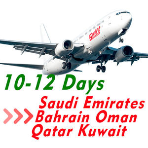 航空到迪拜廉价货运代理从中国到科威特物流供应商DDP海运沙特阿拉伯门到门阿联酋 - Product Image 2