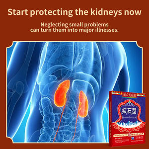 Gesso chinês médico para aplicação corporal auxiliando na remoção de pedras nos rins e aliviando a dor das pedras do sistema urinário - Product Image 5