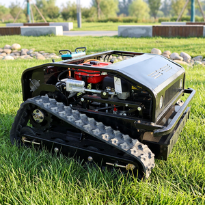 <span class=keywords><strong>Tondeuse</strong></span> autoportée à essence 800 mm à commande à distance pour le désherbage industriel des autoroutes - <span class=keywords><strong>Prix</strong></span> usine - Product Image 2