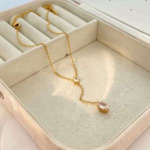 Dog Necklace Cross Border Multi Exclusive Factory Direct Wholesale Sweat Proof <b>Bracelet</b> 18k Gold Plated Color - Product Image 3