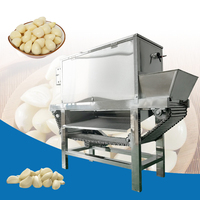 Uien- en knoflookverwerkingsapparatuur, schilmachine, knoflookschiller, knoflookteentjesseparator, knoflookschilmachine