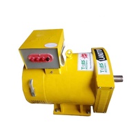 Alternateur à balais AC monophasé/triphasé ST STC 10kw 24kw 40kw 50kw 220V 400V dynamo générateur