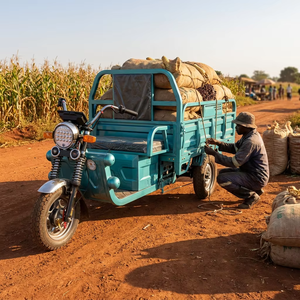 Tricycle électrique de fret 600 kg à 3 roues, tricycle de passagers et de fret, vente en gros d'usine, <span class=keywords><strong>moto</strong></span> électrique SKD CKD pour distributeurs - Product Image 3