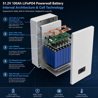 Аккумуляторная система Powerwall LiFePO4 51.2В 100Ач 5.12кВтч для настенного монтажа, система хранения солнечной энергии, 8000 циклов, литиевая, для домашнего резервного питания