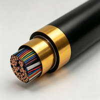 Cable de Comunicación HYA |   Cable Telefónico de PVC Multipar de Alta Densidad con Doble Blindaje IP65 para Transmisión de Voz y Datos