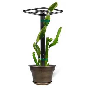 <span class=keywords><strong>Enrejado</strong></span> <span class=keywords><strong>para</strong></span> plantas trepadoras, <span class=keywords><strong>enrejado</strong></span> de plantas, torre de fruta de dragón, poste de escalada <span class=keywords><strong>para</strong></span> jardín de vegetales, hogar, <span class=keywords><strong>Patio</strong></span> interior y exterior - Product Image 1