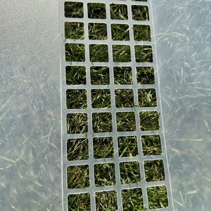 Poteaux de mousse bon marché plantes en nid d'abeille <span class=keywords><strong>Support</strong></span> fixe tiges de <span class=keywords><strong>support</strong></span> de colonne de mousse - Product Image 3
