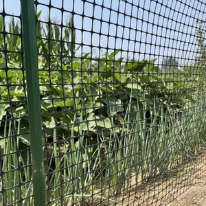 Malla <span class=keywords><strong>de</strong></span> Geogrid Biaxial <span class=keywords><strong>de</strong></span> PP Negra, Malla <span class=keywords><strong>de</strong></span> 3 cm <span class=keywords><strong>de</strong></span> Apertura y 50 m <span class=keywords><strong>para</strong></span> Cría <span class=keywords><strong>de</strong></span> Aves <span class=keywords><strong>de</strong></span> Corral, Protección <span class=keywords><strong>de</strong></span> Huertos y Granjas - Product Image 4