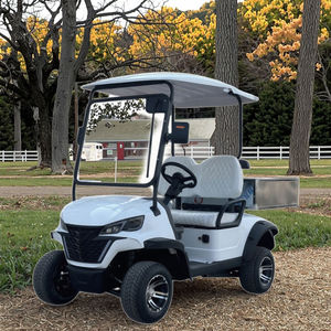 Voiturette de golf électrique personnalisée à 2 places, véhicule utilitaire électrique pour le transport familial et agricole sur routes non publiques - Product Image 2