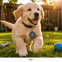 Traceur GPS pour animaux de compagnie Findtag en gros, en plastique, NFC, iOS, positionnement mondial, mini localisateur de haute qualité pour animaux, avec fonction sonore