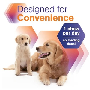 OEM/ODM Marca Privada, Golosinas Orgánicas para Perros con Alergias, Alivio del Dolor, Alivio de la Piel, Probióticos, Sin Granos, Alto Contenido de Proteínas - Product Image 4