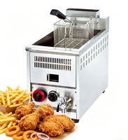 Friteuse Commerciale Multifonctionnelle à Gaz, Simple ou Double Bac, en Acier Inoxydable, Prix Usine