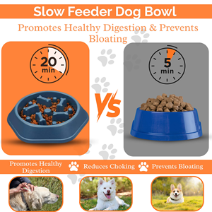 Offre Spéciale – Gamelle Anti-Glouton et Anti-Étouffement pour Chien : Bol Labyrinthe pour une Alimentation Saine et Anti-Ballonnements - Product Image 3