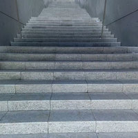 Escalier rentable de bande de roulement d'escaliers de granit gris de sésame de pierre naturelle pour le projet de partie supérieure du comptoir de granit