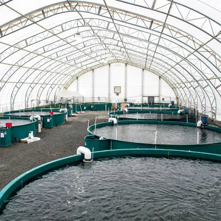 Günstigste High Tunnel Low Cost Commercial Gebraucht Aquaponic Gewächs häuser für Fischteich
