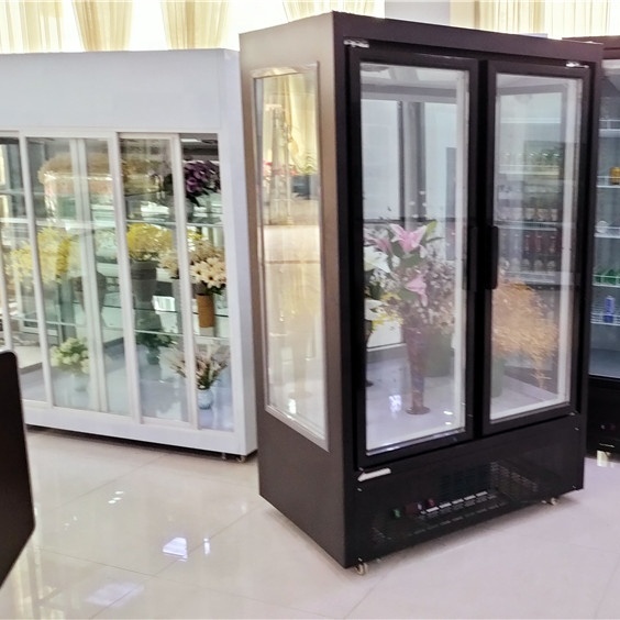 Flower Display Upright Refrigerator 2 Door LED Air Cooling Single-Temperature Automatic Defrost Refrigerated Display Cabinet
