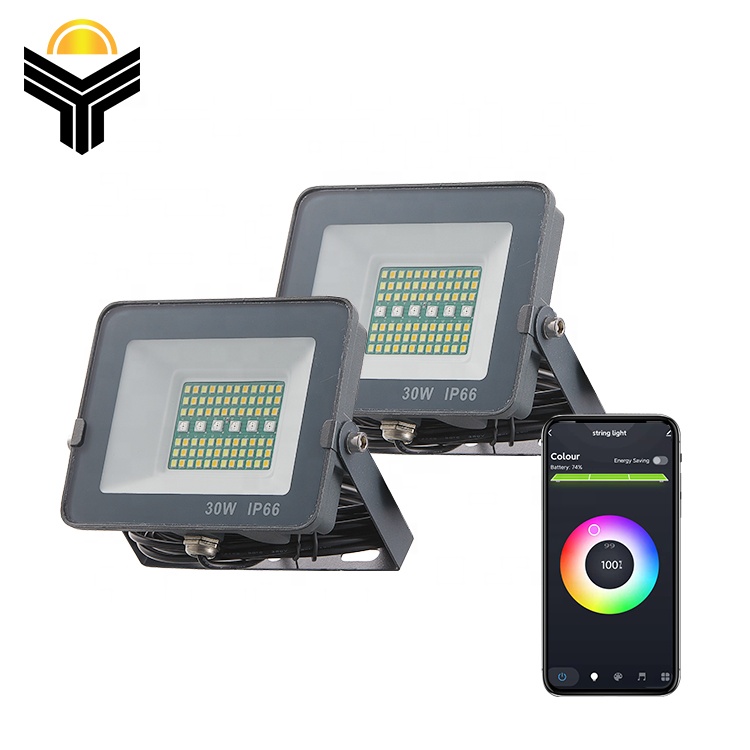 30 Вт Rgb изменяющийся Светодиодный прожектор заливающего света, прожекторы, садовые лампы с управлением через приложение