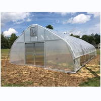 Tunnel PE à travée unique agricole de petite serre commerciale de haute qualité facilement installé pour la culture de légumes