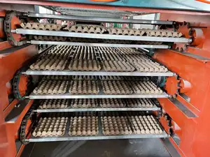 Goedkope Prijs Nieuwe Eierdienblad Machine Kleine Zakelijke Eierbak Productielijn Machine Maken Eierbak