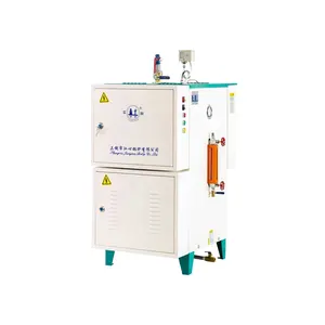 Industrie médicale Type vertical QX série 18/36kW générateur de vapeur chaudière à vapeur pour autoclave