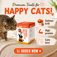 Nourriture humide pour chats MaiDou en sachet, nourriture humide pour chats en gros, pour les magasins de vente au détail, les distributeurs et les importateurs dans le monde entier