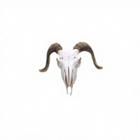 Crâne et cornes de mouton et de chèvre authentiques, 100% naturels, polis, écologiques, art populaire, décoration intérieure, souvenir, inspiration ancienne