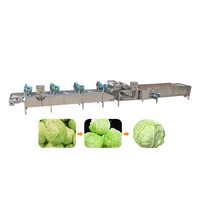 Industriële Spinazie Sla Kool Fruit En Salade Bladgroenten Verwerking Wassen En Salade Productielijn