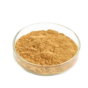 مسحوق مستخلص الشاي الأخضر بأفضل سعر، 25%-98% بوليفينول، تعبئة في براميل - Product Image 4