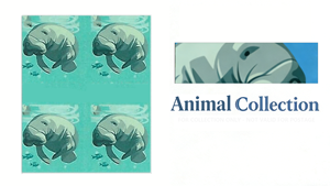 Etiquetas <span class=keywords><strong>Postales</strong></span> de Correo de EE. UU. con Diseño Conmemorativo Antiguo de la Bandera 2024, Tema Salva Manatís, <span class=keywords><strong>Sellos</strong></span> de Correo Económicos de Países y Estados - Product Image 5