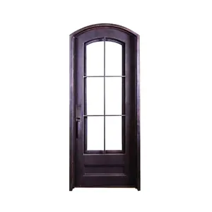 黑色氟碳涂料法国钢门，带中空玻璃