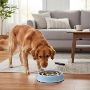 Ciotola per alimentazione in plastica Yommy per cani e gatti di piccola taglia, diametro 22 cm, design a lenta alimentazione, leggera e resistente. - Product Image 6