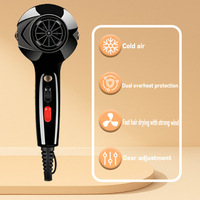 Teknologi Pengering Rambut Ruizi Salon, Perlindungan Super Panas Ganda, Motor AC 1400W, Angin Berkecepatan Tinggi, Pengeringan Cepat untuk Salon dan Rumah Tangga
