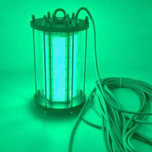 Lumière verte pour la pêche sous-marine, projecteur portable haute puissance de 4000 watts, équipement de pêche pour cage à homard - Product Image 5